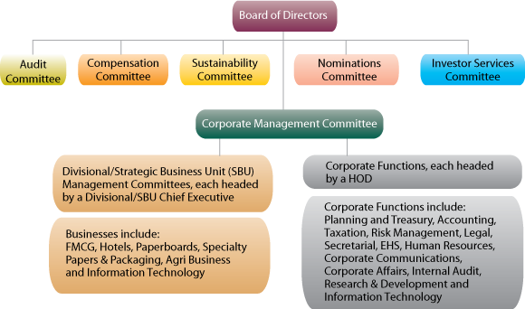 Chart displaying Governance Structure
