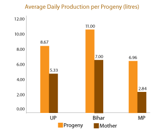 Image of Graph showing Average Daily Production per Progeny (litres)