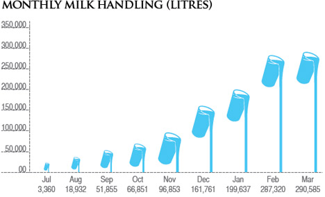 Visual Representation of  Monthly Milk Handling (litres)